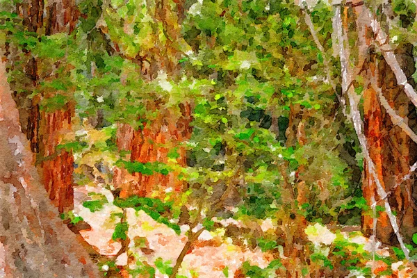 A floresta através das árvores — Fotografia de Stock