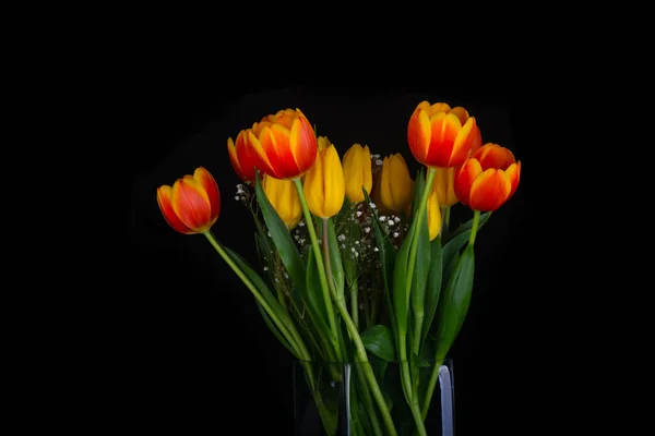 Very Beautiful Image Bouquet Tulips Bables Breath — Stock Photo, Image