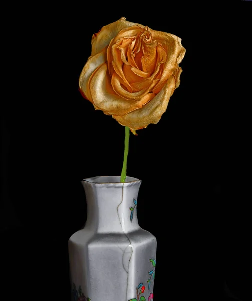 Ultime Rose Brady Dans Vase Eau — Photo