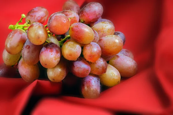 Rote Trauben auf rot — Stockfoto