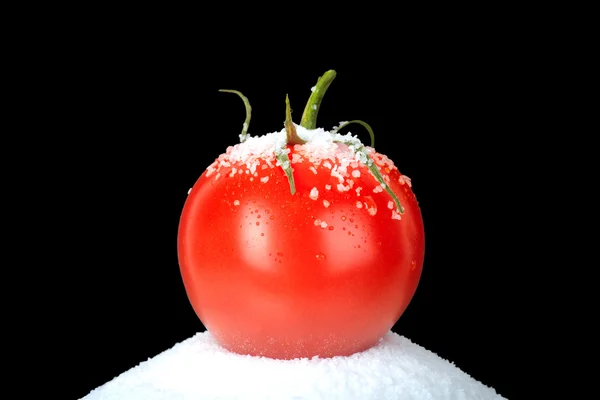 Tomato On Salt — Stock Photo, Image