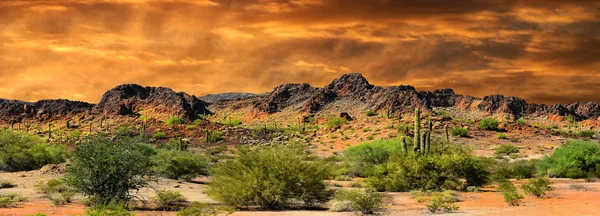 New Mexico gränsen — Stockfoto