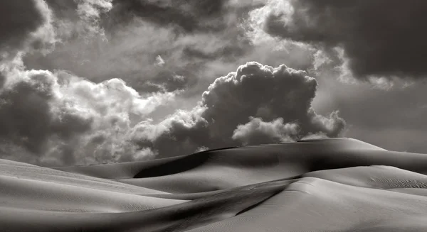 Imperial Sand Dunes — Stock Photo, Image