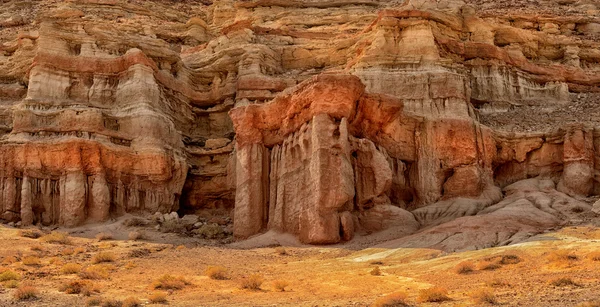 Vörös szikla kanyon — Stock Fotó