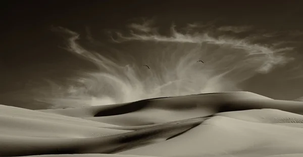 Dunes de sable le long de la frontière — Photo