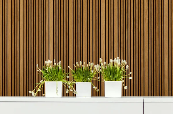 Modern interior with three flower pots — Stock Photo, Image