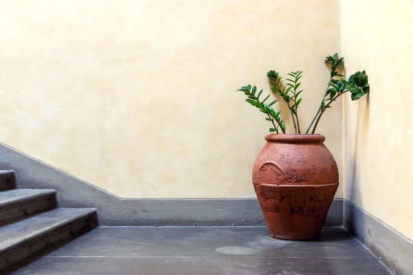 Interior detail with pitcher and flowers — Stock Photo, Image