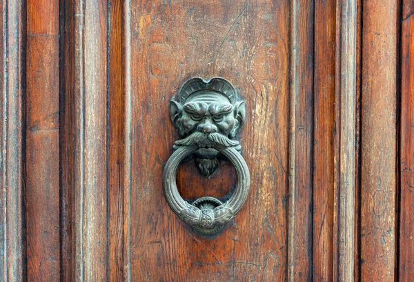 Maçaneta do leão de ferro na porta de madeira — Fotografia de Stock