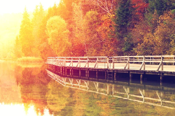 カラフルな秋の風景 — ストック写真