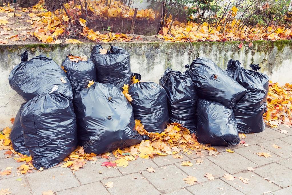 Plastic garbage bags full of leaves at autumn Stock Photo by