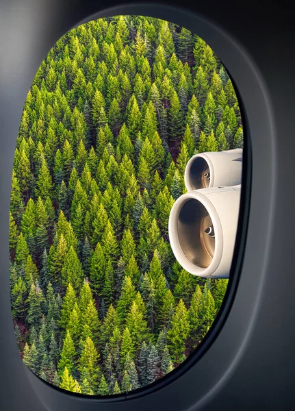 Зелені Лісові Дерева Видно Крізь Вікно Літака — стокове фото