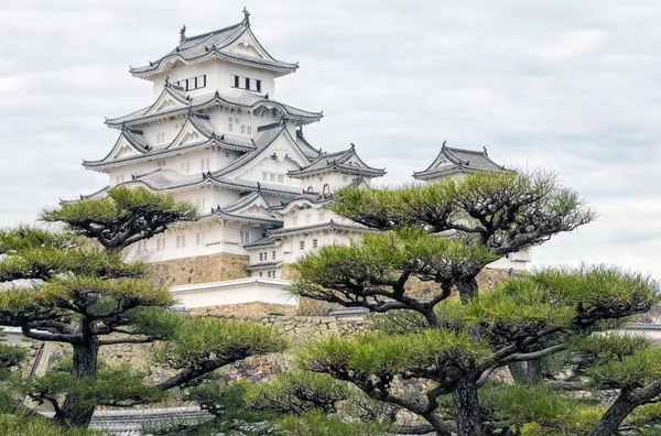 喜弥士城堡 日本兵库县的世界遗址 日本中世纪传统建筑 具有悠久的松树前景 — 图库照片