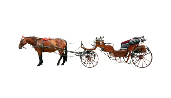 棕色的马和老式的敞篷马车白色背景的隔离 — 图库照片