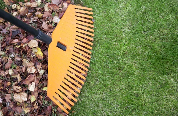 Rake and leaves — Stock Photo, Image