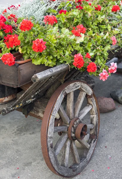 Carrinho de madeira com flores — Fotografia de Stock