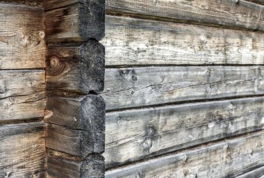 Doğal ahşap duvar arka plan