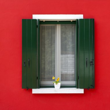 Burano tencereye çiçek ile renkli pencere  