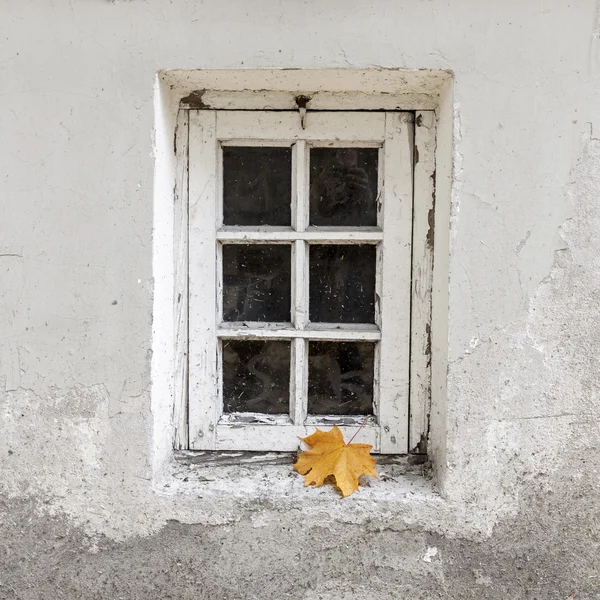 Tek akçaağaç yaprağı ile yıpranmış pencere — Stok fotoğraf