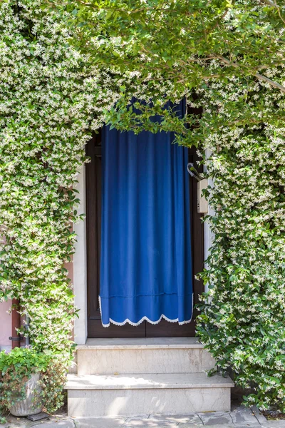 Entrée de la maison couverte de plantes en fleurs — Photo