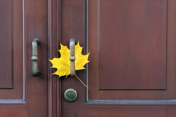 Een esdoornblad op deur handvat — Stockfoto