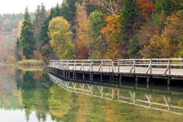 Barevné podzimní krajina u jezera — Stock fotografie