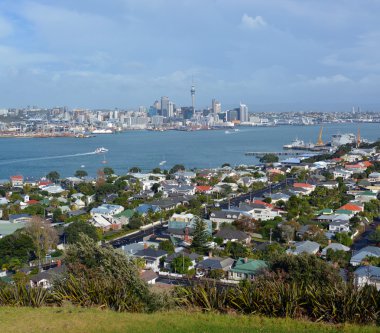 Auckland City vew from Mount Victoria, Devonport  clipart