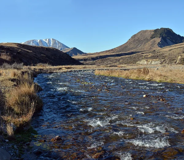 Porter River and Castle Hill in Spring, New Zealand — Stock Photo, Image