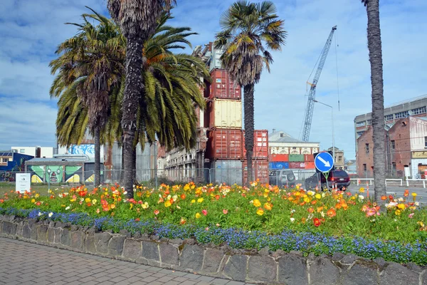 Spring Flowers in Deserted Christchurch City CBD — Stock Photo, Image