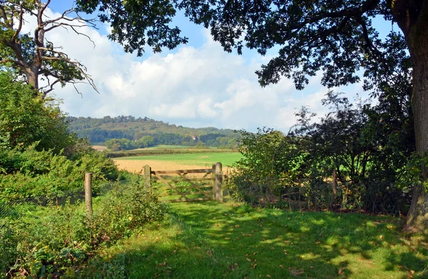 Bucolic England - Cranleigh Farm  Near Guilford in Surrey, UK. — Stock Photo, Image