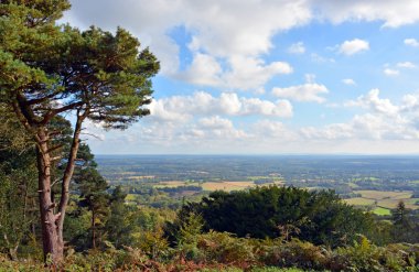 View from Leith Hill across the South Downs to Brighton, UK. clipart