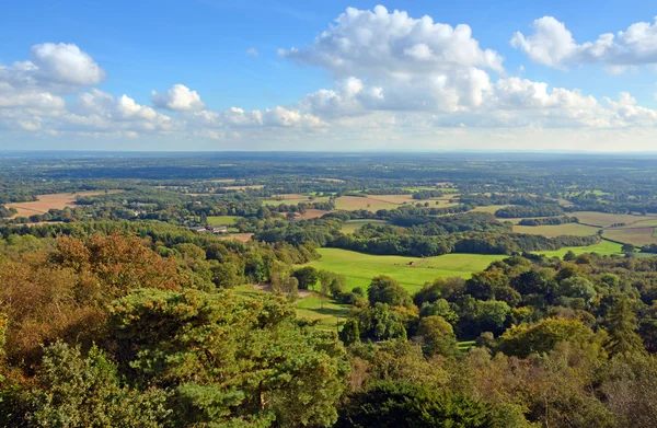 Panoramic View from Leith Hill across the South Downs to Brighto — Stock Photo, Image