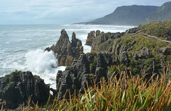 Looking North From Punakaiki Rocks towards Karamea, New Zealand — Stock Photo, Image