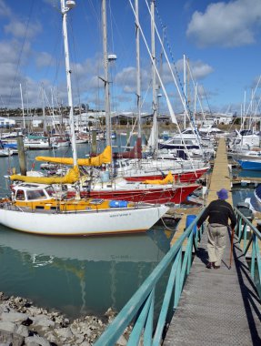 Nelson tekne Marina, Yeni Zelanda. 