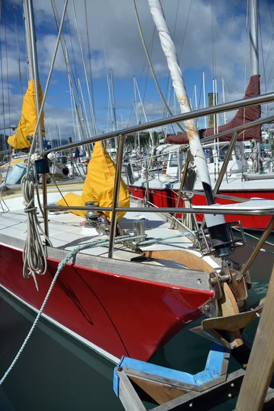 Nelson Boat Marina Detail View, Новая Зеландия . — стоковое фото