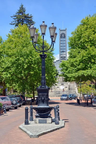 Nelson katedralen & Trafalgar Street - lodrät. — Stockfoto