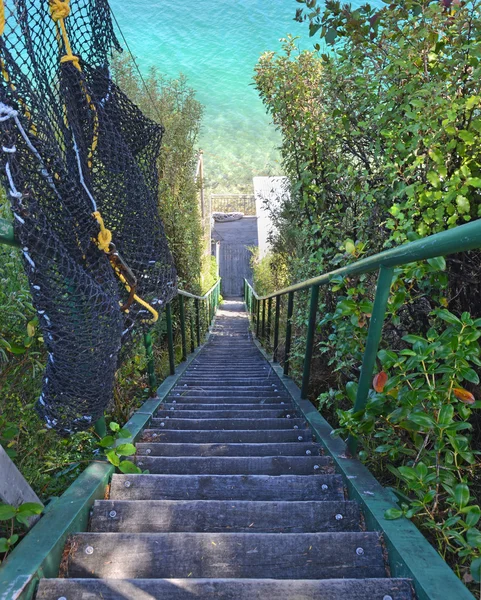 Steep Steps Down to Paradise - A Batch in The Marlborough Sounds — Stock Photo, Image