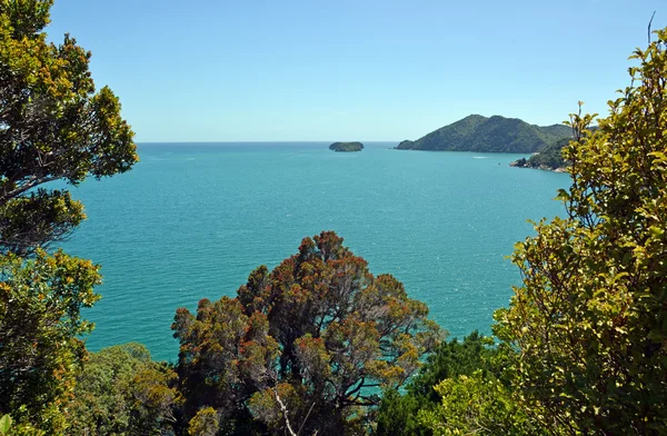 Golden Bay från Liger Bay Lookout Nya Zeeland. — Stockfoto