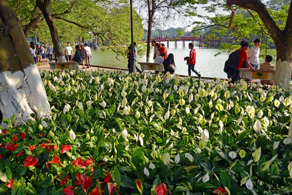 Jaro v Hanoji s liliemi kolem jezera Hoan Kiem. — Stock fotografie