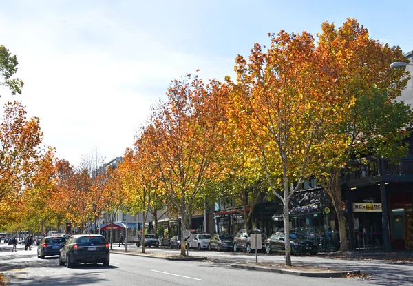 Осень на Лигон-стрит в Мельбурне Стоковое Изображение