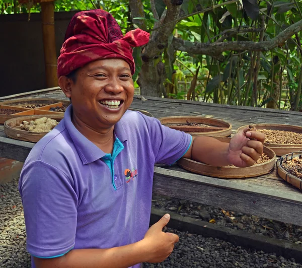 Bali Coffee Grower Displays Kopi Luwak. — Stock Photo, Image