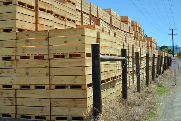 Enorme pila de cajas de madera de Apple a la espera del tiempo de cosecha — Foto de Stock