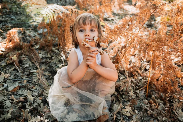 Pequena menina branca se agachando na floresta entre samambaias — Fotografia de Stock