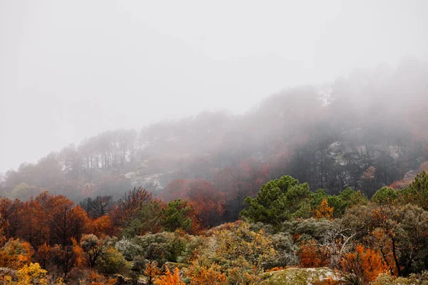 Nubes y nieblas con mal tiempo en otoño en los bosques del valle de Araitz, Navarra — Foto de Stock