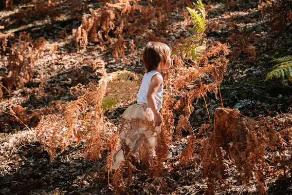 Piccola ragazza caucasica accovacciata nella foresta tra le felci — Foto Stock