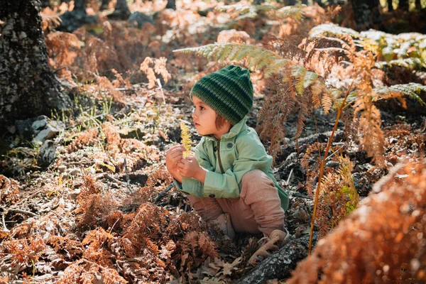 Little caucasian baby girl squatting in the forest among ferns — Stock Photo, Image