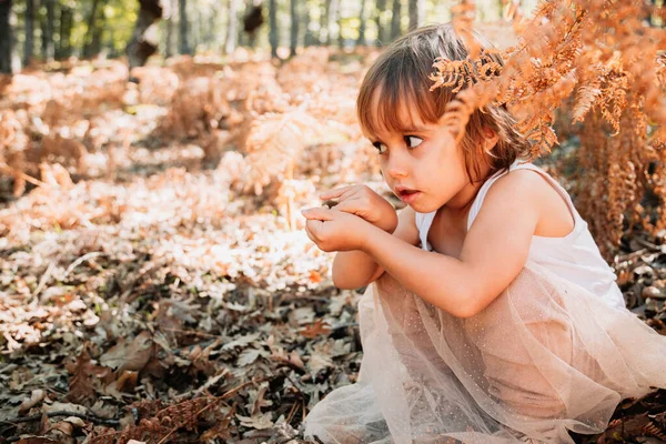 Pequena menina branca se agachando na floresta entre samambaias — Fotografia de Stock