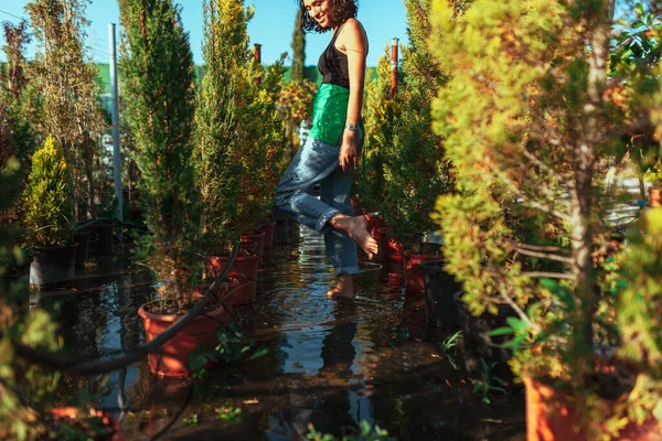 Jardineiro Mulher Verificando Ciprestes Viveiro Plantas — Fotografia de Stock