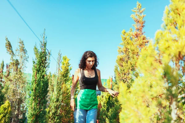 Žena Zahradník Vyhlíží Cypřišové Stromy Rostlinné Školce — Stock fotografie