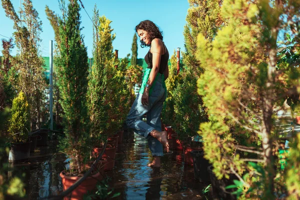 Jardineiro Mulher Verificando Ciprestes Viveiro Plantas — Fotografia de Stock