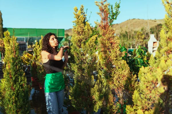 植物園のヒノキの木をチェックする女性庭師 — ストック写真